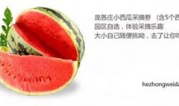 娱乐吃瓜封面怎么做,如何捕捉热点瞬间，引爆网络热议